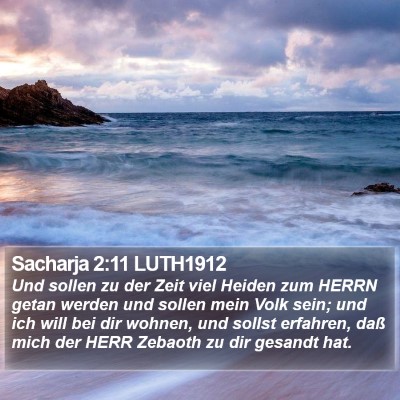 Sacharja 2:11 LUTH1912 Bible Verse Image
