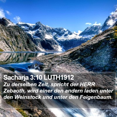 Sacharja 3:10 LUTH1912 Bible Verse Image