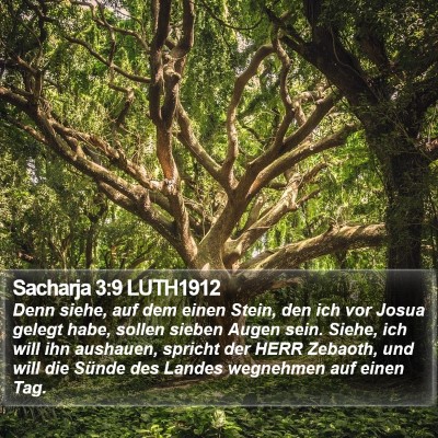 Sacharja 3:9 LUTH1912 Bible Verse Image
