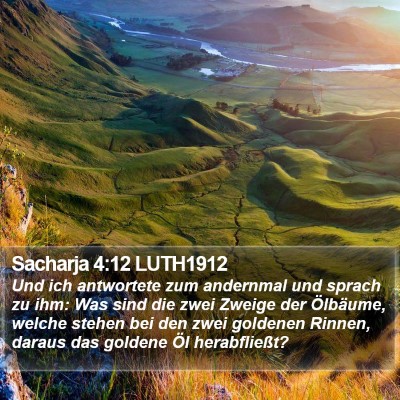 Sacharja 4:12 LUTH1912 Bible Verse Image