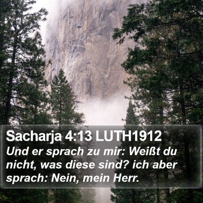 Sacharja 4:13 LUTH1912 Bible Verse Image