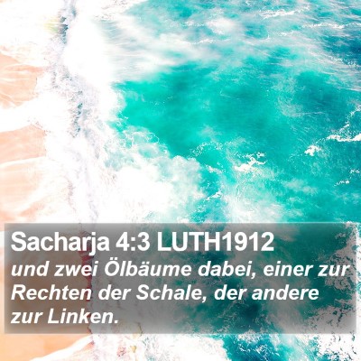 Sacharja 4:3 LUTH1912 Bible Verse Image
