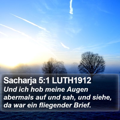 Sacharja 5:1 LUTH1912 Bible Verse Image