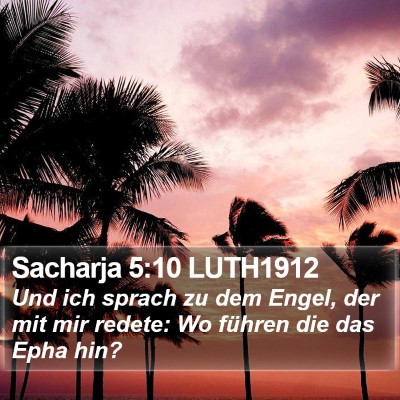 Sacharja 5:10 LUTH1912 Bible Verse Image
