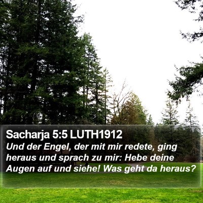 Sacharja 5:5 LUTH1912 Bible Verse Image