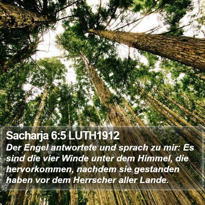 Sacharja 6:5 LUTH1912 Bible Verse Image