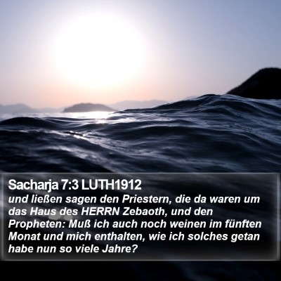 Sacharja 7:3 LUTH1912 Bible Verse Image