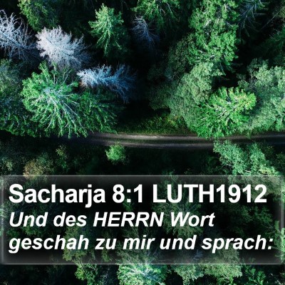 Sacharja 8:1 LUTH1912 Bible Verse Image