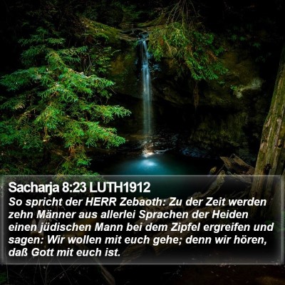 Sacharja 8:23 LUTH1912 Bible Verse Image