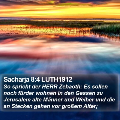 Sacharja 8:4 LUTH1912 Bible Verse Image
