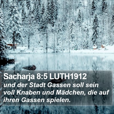 Sacharja 8:5 LUTH1912 Bible Verse Image