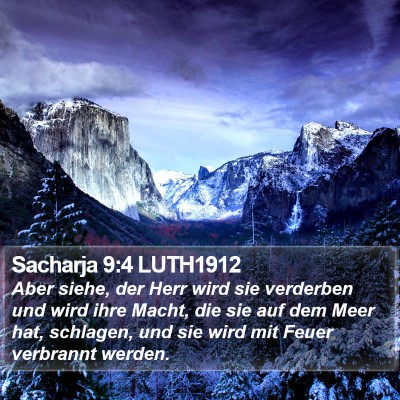 Sacharja 9:4 LUTH1912 Bible Verse Image
