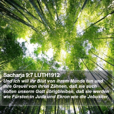 Sacharja 9:7 LUTH1912 Bible Verse Image
