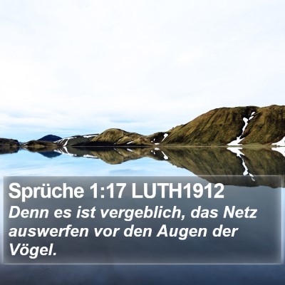 Sprüche 1:17 LUTH1912 Bible Verse Image