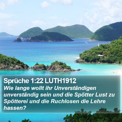 Sprüche 1:22 LUTH1912 Bible Verse Image