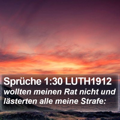 Sprüche 1:30 LUTH1912 Bible Verse Image