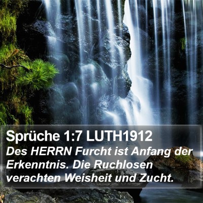 Sprüche 1:7 LUTH1912 Bible Verse Image