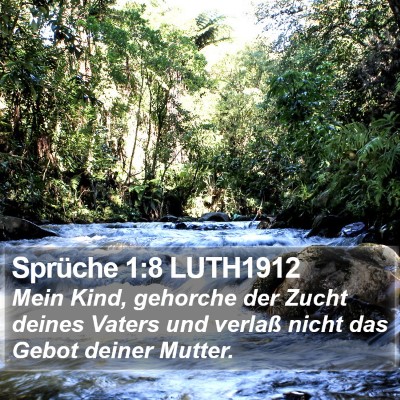 Sprüche 1:8 LUTH1912 Bible Verse Image