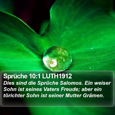 Sprüche 10:1 LUTH1912 Bible Verse Image