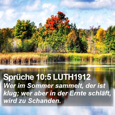 Sprüche 10:5 LUTH1912 Bible Verse Image