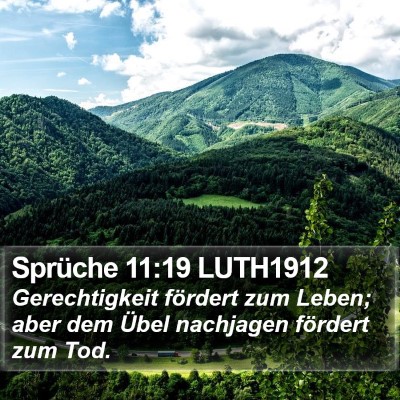 Sprüche 11:19 LUTH1912 Bible Verse Image