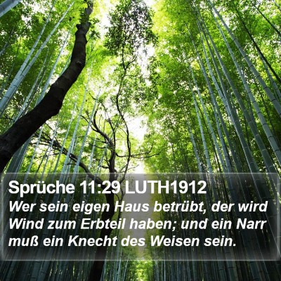 Sprüche 11:29 LUTH1912 Bible Verse Image