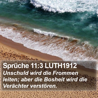 Sprüche 11:3 LUTH1912 Bible Verse Image