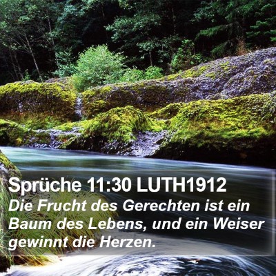 Sprüche 11:30 LUTH1912 Bible Verse Image