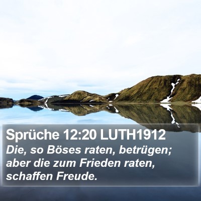 Sprüche 12:20 LUTH1912 Bible Verse Image