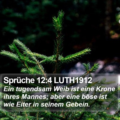 Sprüche 12:4 LUTH1912 Bible Verse Image