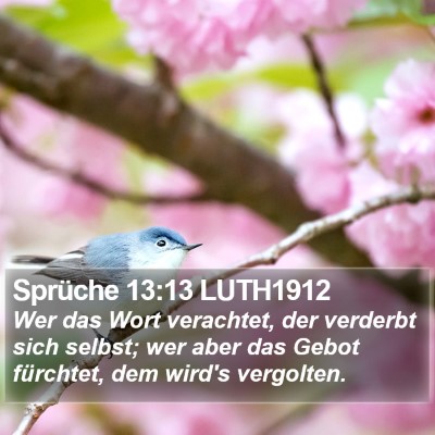 Sprüche 13:13 LUTH1912 Bible Verse Image
