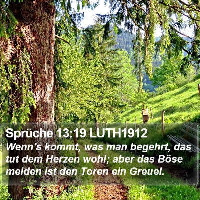 Sprüche 13:19 LUTH1912 Bible Verse Image