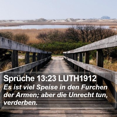 Sprüche 13:23 LUTH1912 Bible Verse Image