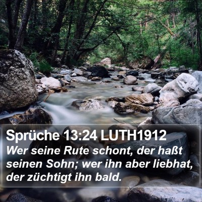 Sprüche 13:24 LUTH1912 Bible Verse Image