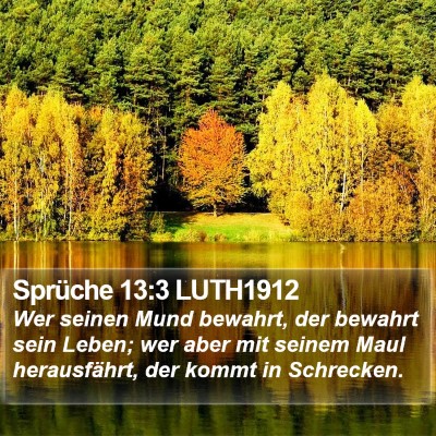 Sprüche 13:3 LUTH1912 Bible Verse Image