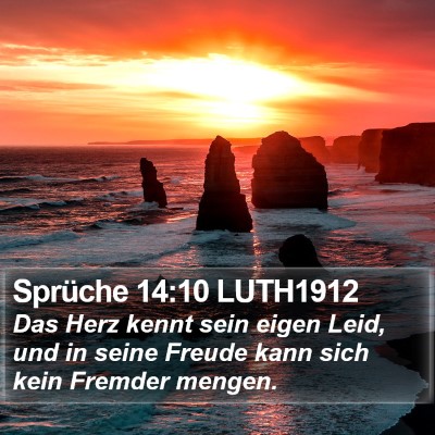 Sprüche 14:10 LUTH1912 Bible Verse Image