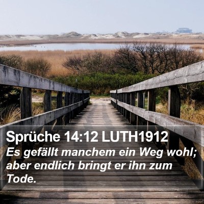 Sprüche 14:12 LUTH1912 Bible Verse Image