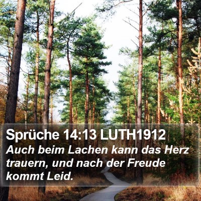 Sprüche 14:13 LUTH1912 Bible Verse Image
