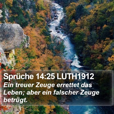 Sprüche 14:25 LUTH1912 Bible Verse Image