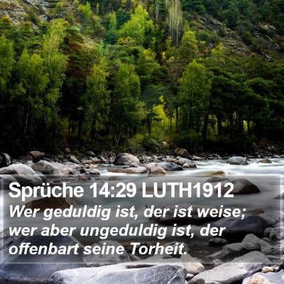 Sprüche 14:29 LUTH1912 Bible Verse Image