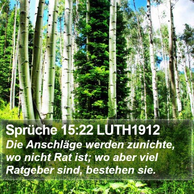 Sprüche 15:22 LUTH1912 Bible Verse Image
