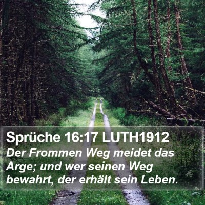 Sprüche 16:17 LUTH1912 Bible Verse Image