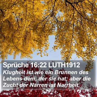 Sprüche 16:22 LUTH1912 Bible Verse Image