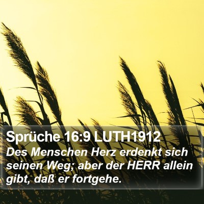 Sprüche 16:9 LUTH1912 Bible Verse Image