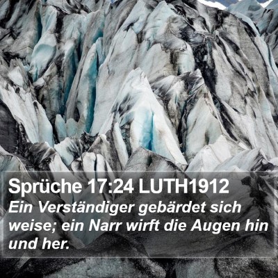 Sprüche 17:24 LUTH1912 Bible Verse Image