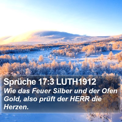 Sprüche 17:3 LUTH1912 Bible Verse Image