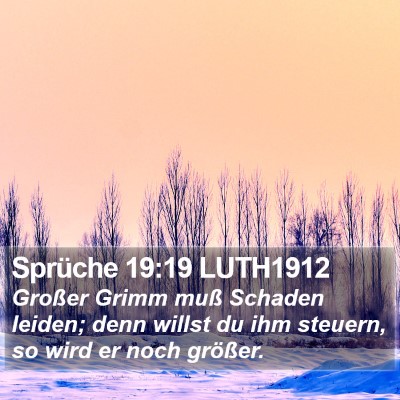 Sprüche 19:19 LUTH1912 Bible Verse Image