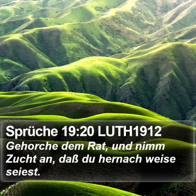 Sprüche 19:20 LUTH1912 Bible Verse Image
