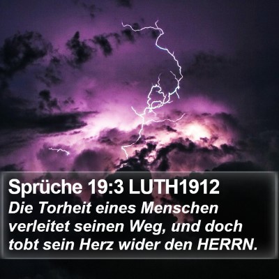 Sprüche 19:3 LUTH1912 Bible Verse Image