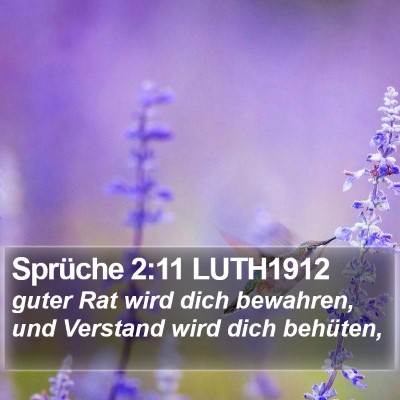Sprüche 2:11 LUTH1912 Bible Verse Image